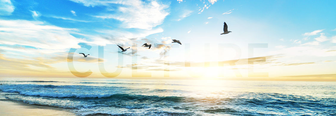 OMwS-rHFR1KXErdQtOMjzw